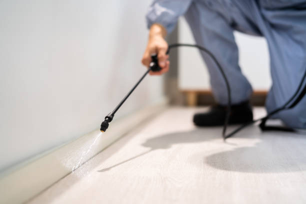 Licensed Pest Control service in Haleyville, AL - Show Me Pest Control