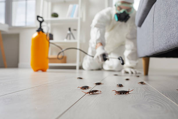 Commercial Kitchen Cockroach Control in Haleyville